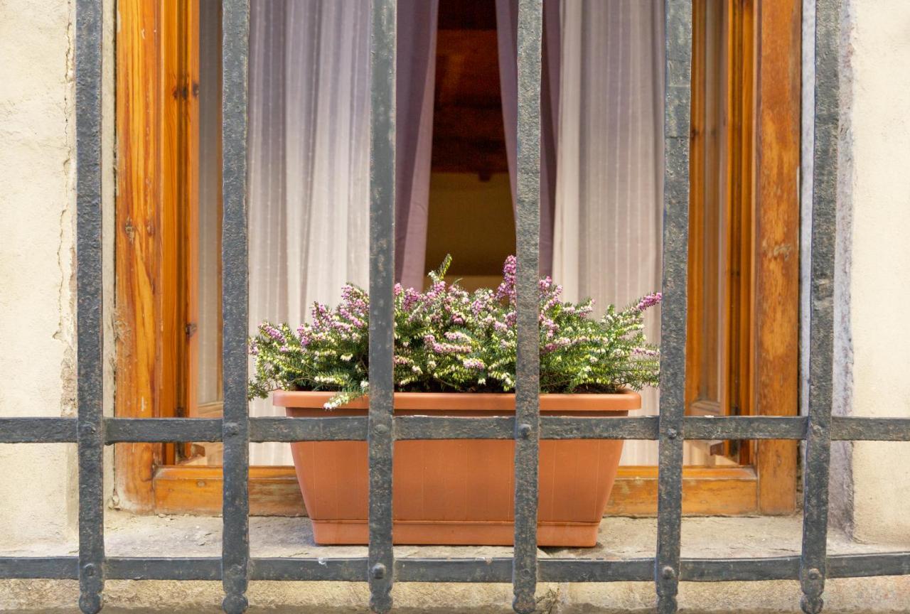 San Frediano District - Appartement *